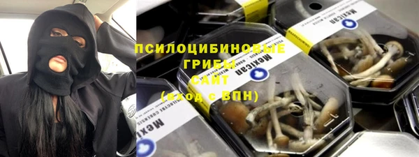 амф Новозыбков
