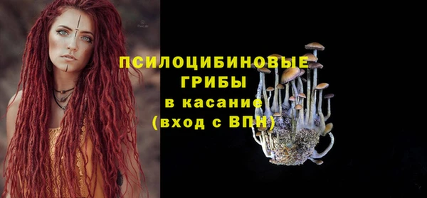 соль курить ск Новодвинск
