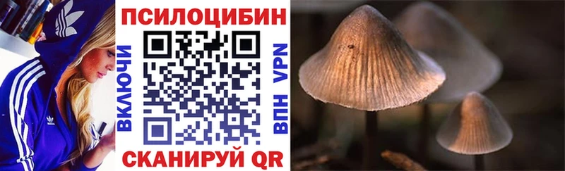 Псилоцибиновые грибы ЛСД купить наркотик Тихвин